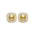 South Sea Gold Pearl Square Stud Earrings